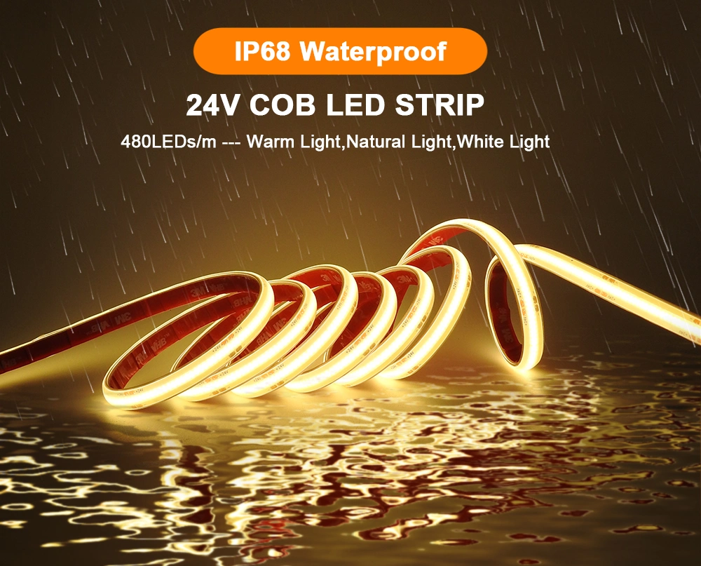 24V Swimming Pool Decoration Light COB Strip LED Lights Luces LED IP68 Underwater LED Strip