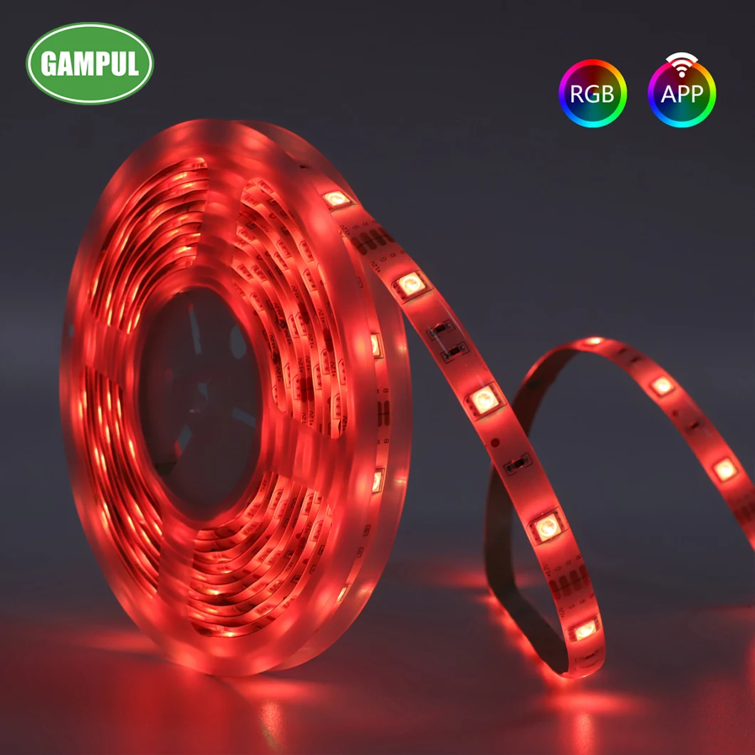 220V 110V RGB LED Strip Lights 5050 5m Multicolor Flexible Roll Outdoor Waterproof RGB Dual Color Rope LED Light Strip