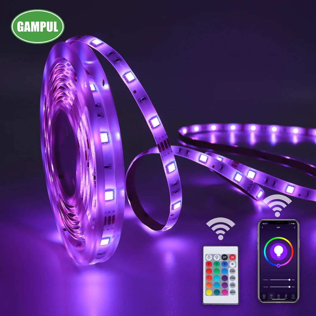 220V 110V RGB LED Strip Lights 5050 5m Multicolor Flexible Roll Outdoor Waterproof RGB Dual Color Rope LED Light Strip