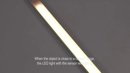 Alp002 with Sensor Linear Lighting High Brightness Decorative Light Profile for Project